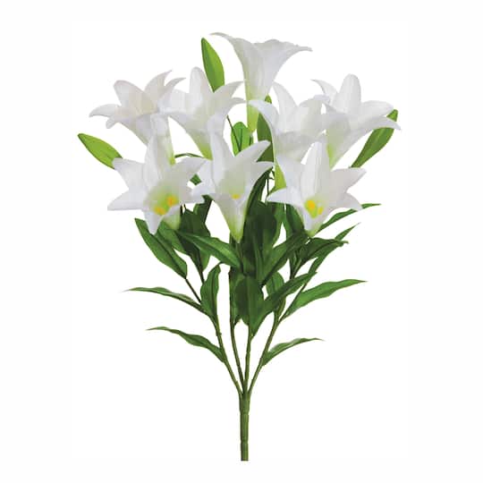 White Easter Lily Bush